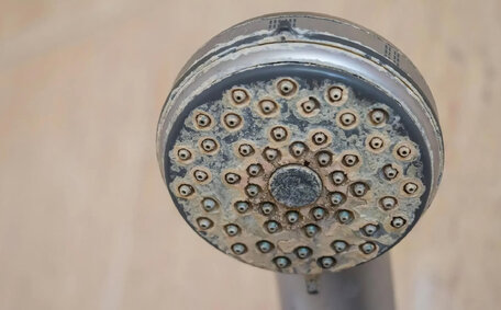 Unclog Shower Drain Blocked Hair